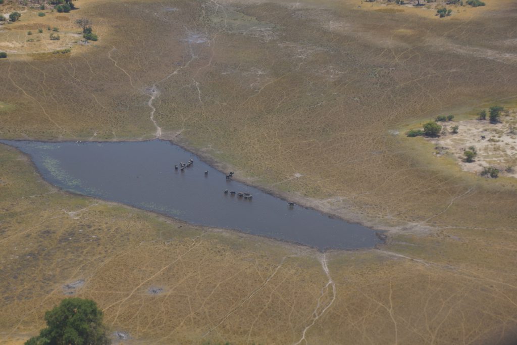 Blick auf ein Wasserloch in Botswana