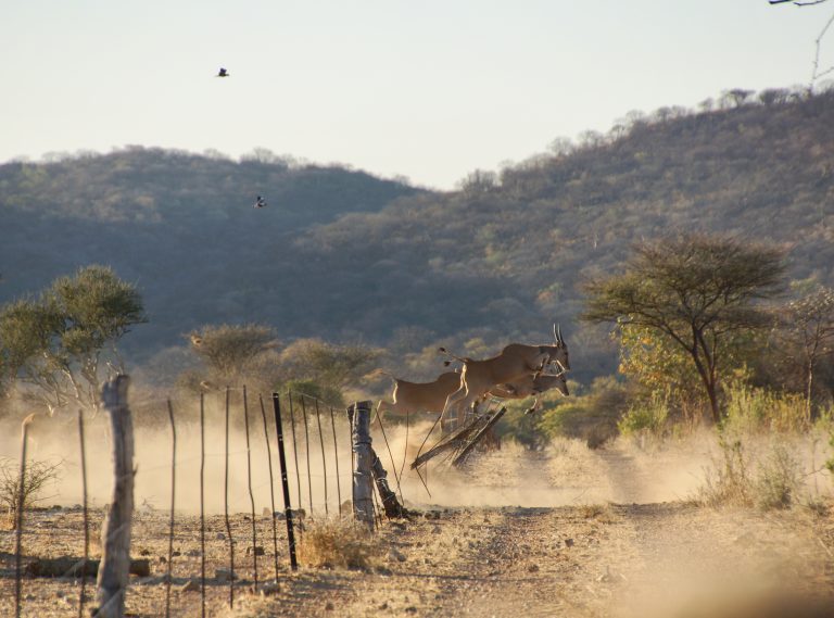 Namibia – Highlights für ein erstes Mal