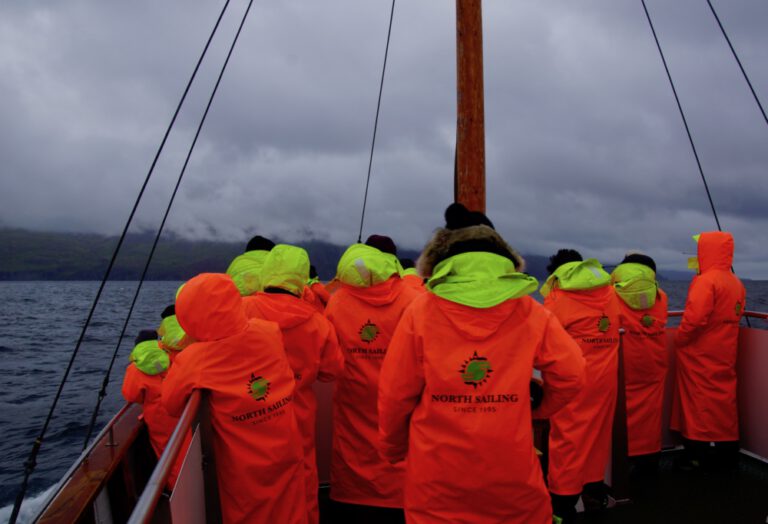 Wal in Sicht bei Húsavík