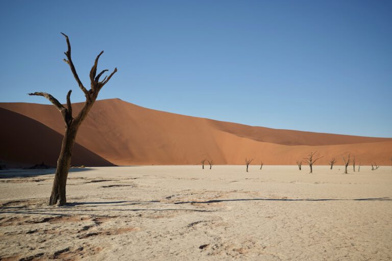 Dead Valley Lodge – Wüstenlodge im Sossusvlei
